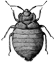The Bedbug Registry